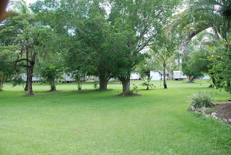 View of Grassy Grounds